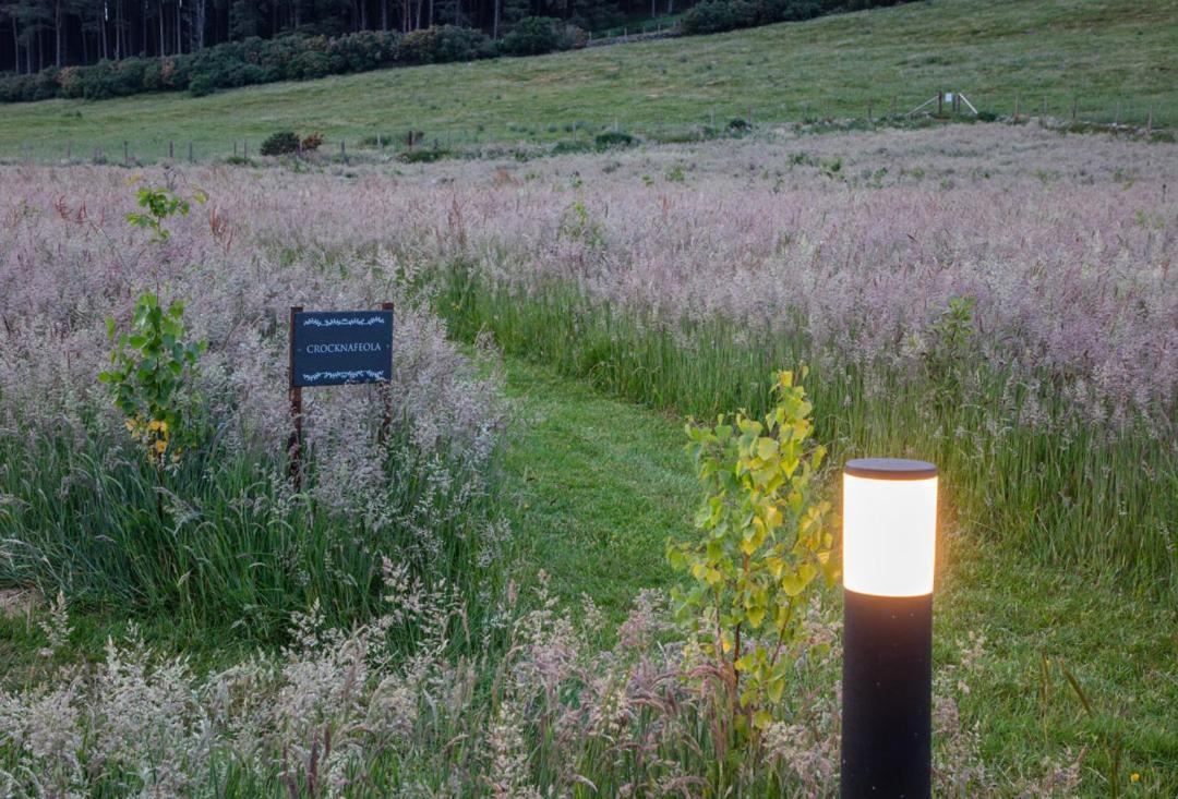 Oakwood Glamping Mourne Mountains Hotel Moyad Екстериор снимка